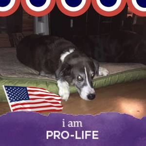 Meet your Posher, Pam